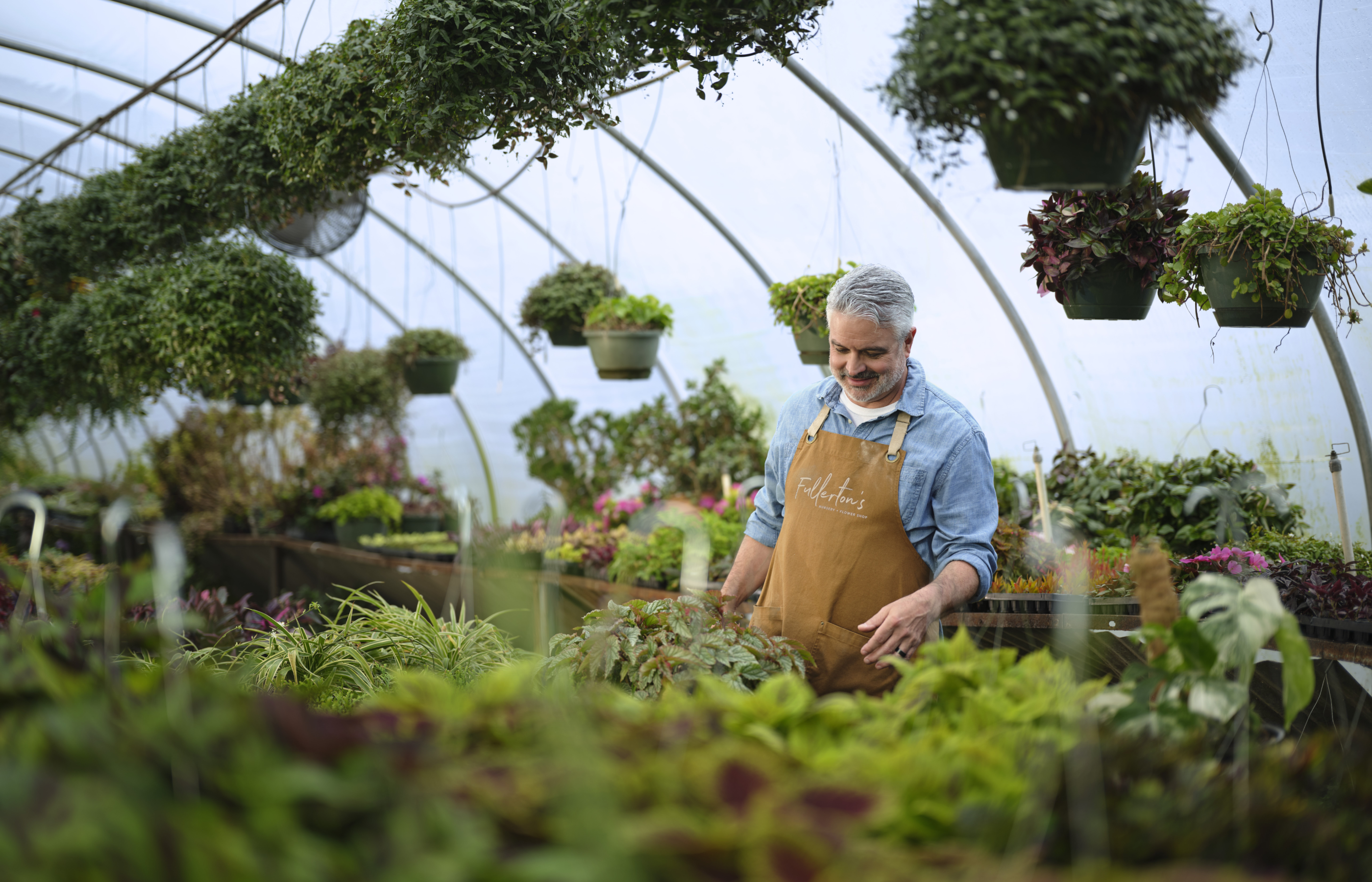 A man is nursing plants inside of a greenhouse. 