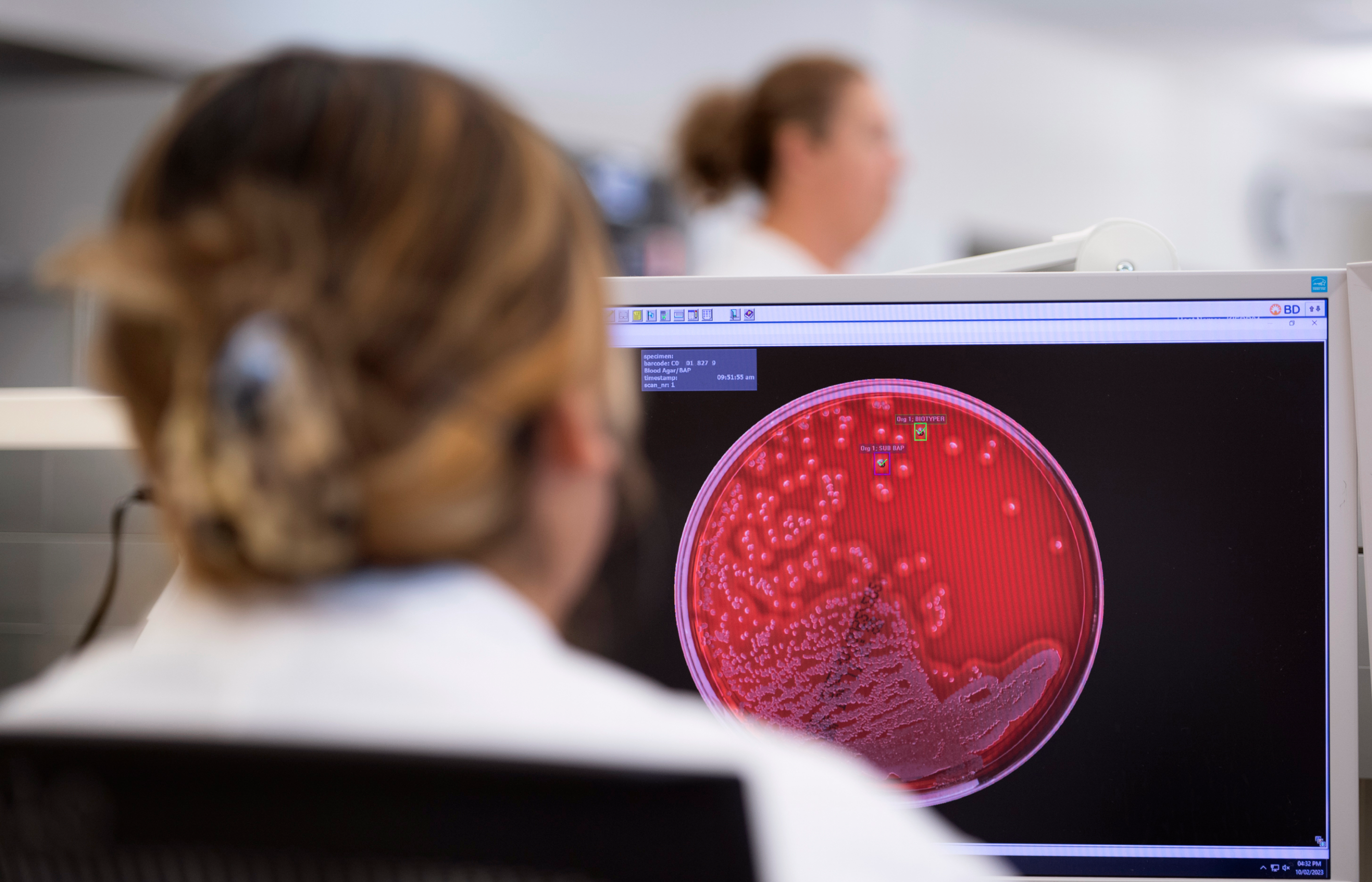 woman viewing a cell image on a computer screen
